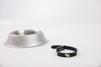 Collar near pet bowl