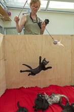 Woman makes nine-week-old kitten jump