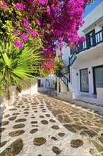 Romantic traditional narrow streets and beautiful walkways of Greek island towns. Whitewashed houses