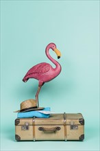 Pink flamingo travel accessories