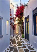 Cozy traditional Greek alleyways in Mediterranean island towns. Whitewashed houses