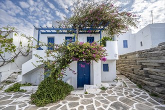 White Cycladic houses with pink bougainvillea
