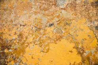 Yellow stone textured background