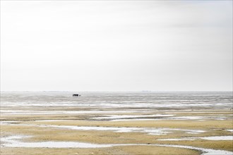 A group of people walking in the mudflats at low tide near Terschelling