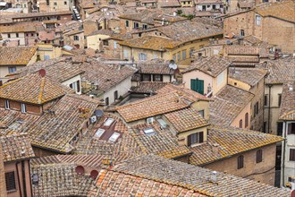 Above the rooftops in the historic centre of Siena