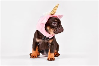 Tan French Bulldog dog puppy with cute pink unicorn hat with golden horn