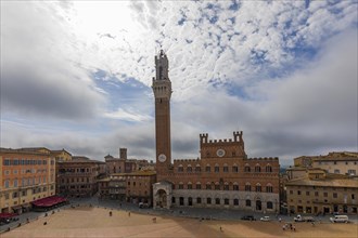 Wafts of mist at dawn over the Piazza del Campo with the bell tower Torre del Mangia and the town hall Palazzo Pubblico