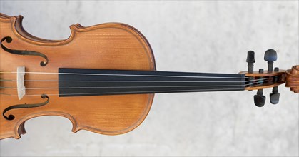 Front view violin