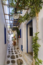 Classic and traditional narrow streets