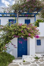 White Cycladic houses with pink bougainvillea
