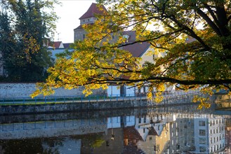 Autumnal coloured trees in the park Hajecek with the river Maltsch and the city wall of the historical old town of Ceske Budejovice