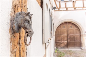 Old rustic horse head with a ring for driving horses in a backyard. Colmar