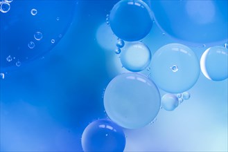 Abstract bubbles blue colored blurred background