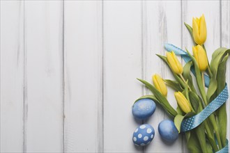 Blue eggs near tulips