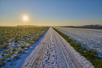 Field path