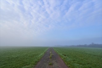 Field path