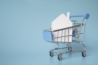 House miniature shopping cart