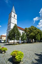 Seelow Town Church