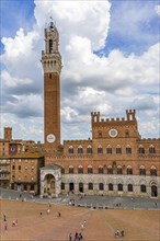 The Piazza del Campo with its bell tower Torre del Mangia and the town hall Palazzo Pubblico