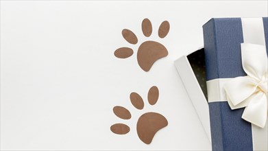 Top view paw prints with gift animal day