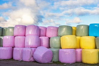 Colorful plastic bales lined up in a farm yard