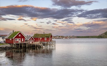 Traditional red rorbuer cabins by the water at sunset