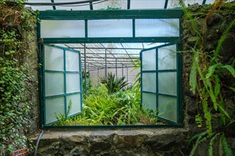 Interior view through the open window of the cold house Estufa Fria is a greenhouse with gardens