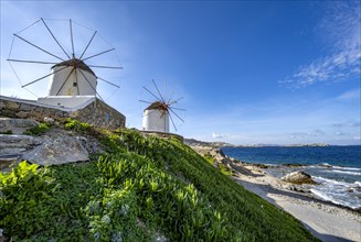 Cycladic windmills on the coast