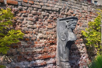 Old brick wall with caryatid and maple