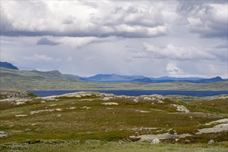 Tundra landscape with lake