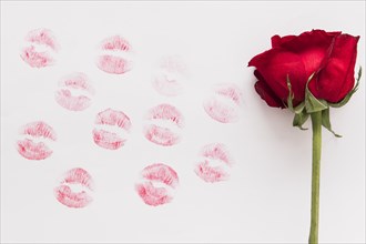 Fresh flower lipstick kiss paper