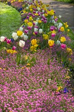 Flowerbeds in bloom in the municipal park of Lahr
