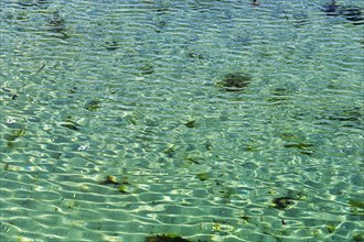 Crystal clear turquoise water in the sea