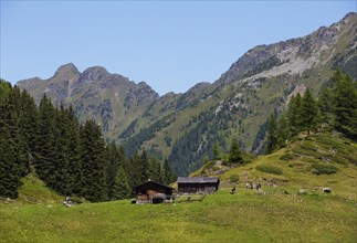 Alpine hut on the way to Duisitzkarsee