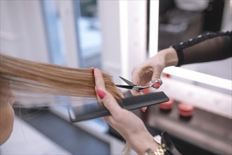 Crop stylist trimming hair ends salon