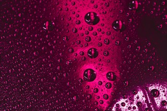 Abstract burgundy background with water drops