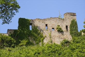 Castle ruin