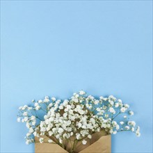 High angle view white baby s breath flowers with brown envelop against blue background