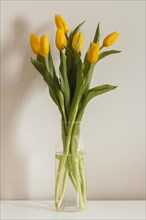 Front view bouquet tulips vase