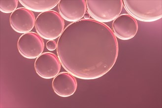 Group bubbles pink background