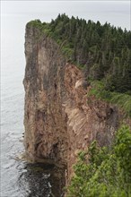 Steep cliff