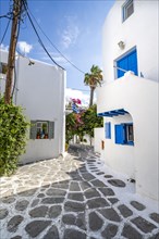 White Cycladic houses with colourful shutters and doors