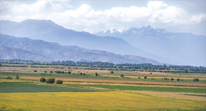 View over fields in the Chuei valley and the mountains of the Kirghiz Ala Too range