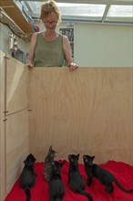 Woman and nine-week-old kittens look at each other
