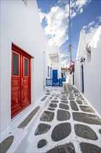 Cycladic white houses with red door