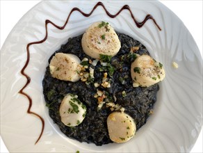 Squid risotto with scallops