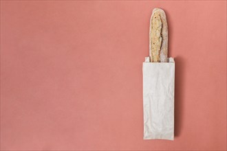 Baguette bread paper bag colored background