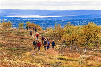 People hiking in a beautiful landscape in the swedish mountains at autumn