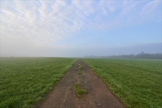 Field path