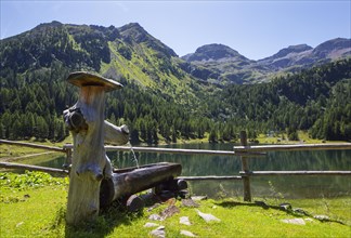 Wooden well on the mountain pasture with Duisitzkarsee